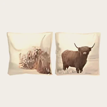Coussin yack, 60 × 60 cm, 2 modèles