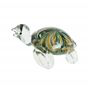 Tortue Shiva Sulfure