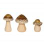 Champignons Mousse