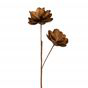Fleurs Rosalia Moutarde