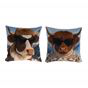 Coussin Vaches